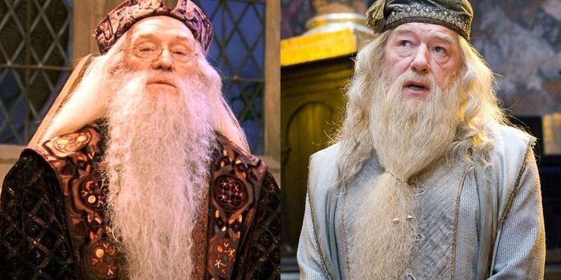 Harry Potter: Neden Michael Gambon En İyi Dumbledore'dur (& Neden Her Zaman Richard Harris Olacak)