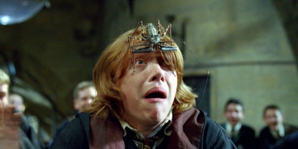 Harry Potter: Ron Weasley Neden Örümceklerden Korkuyor?